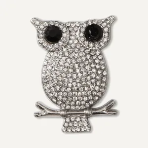 Elizabeth Crystal Owl Magnetic Brooch In Silver-Tone