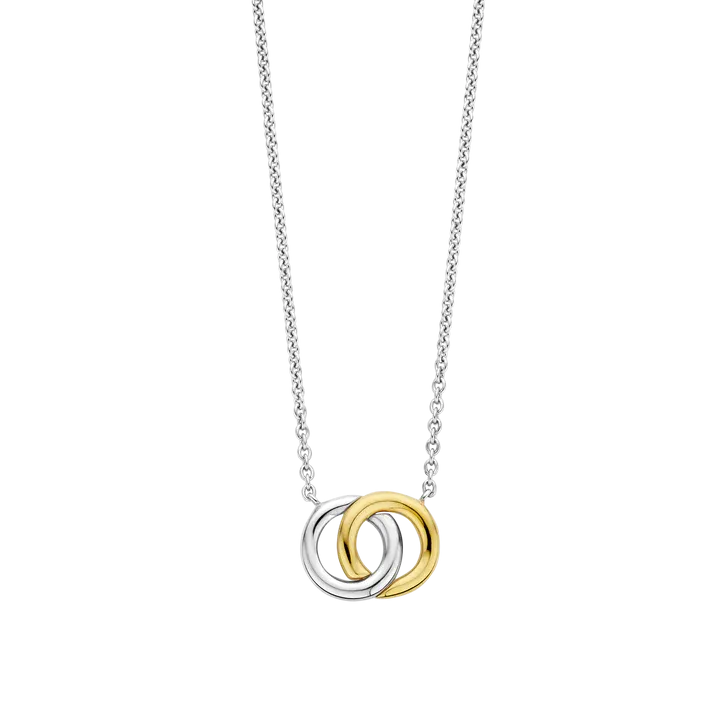 Interlocking Circles Necklace