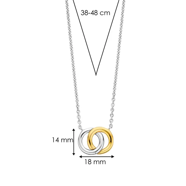 Interlocking Circles Necklace